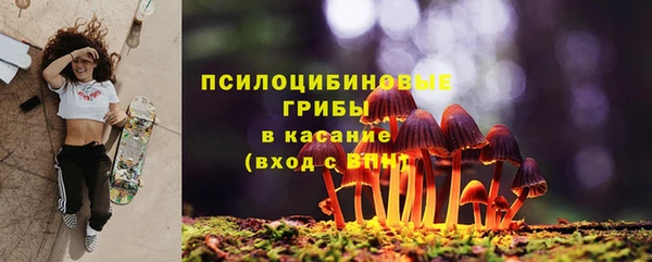 дживик Нефтекумск