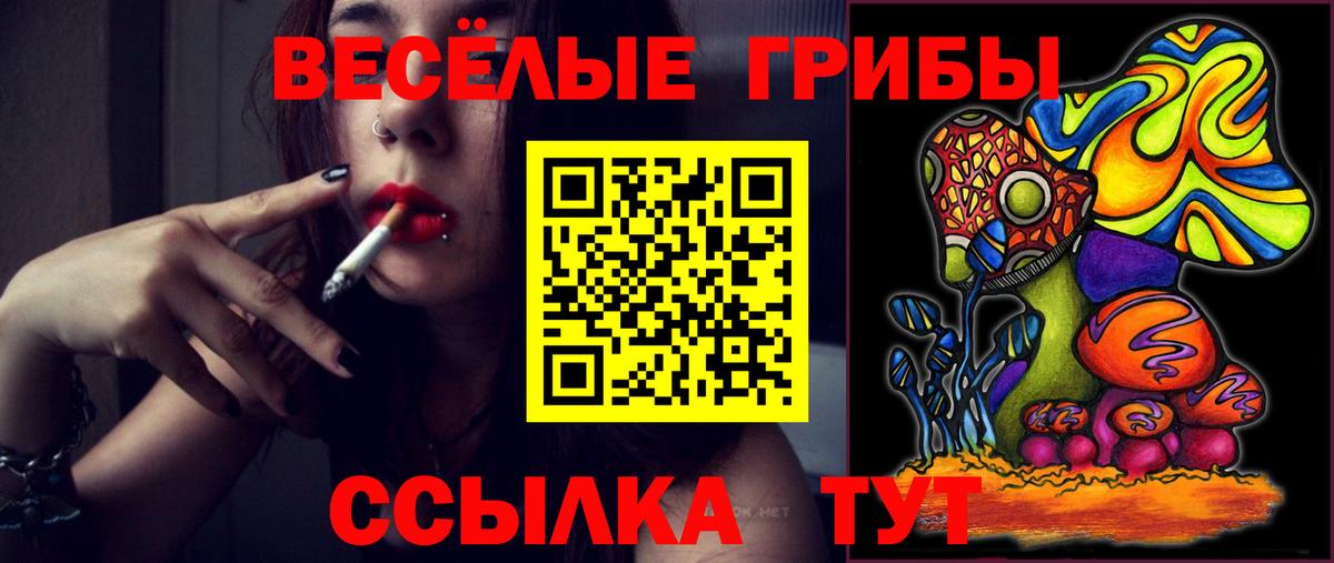 Галлюциногенные грибы Cubensis  Псилоцибиновые грибы ЛСД  Вход с VPN  Тамбов 