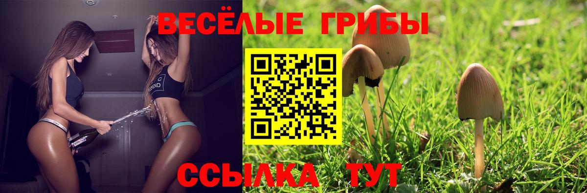 АМФЕТАМИН Тамбов